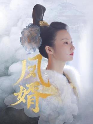 凤婿第27集