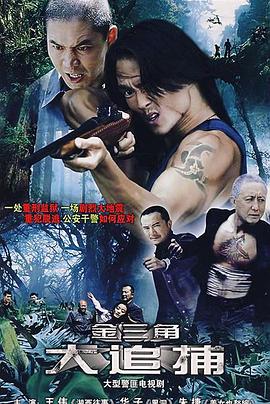 大追捕2008第10集